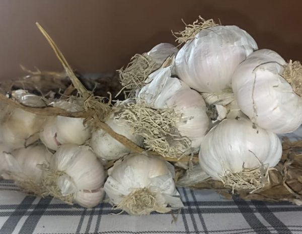 Aglio rosso